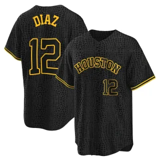 Men's Replica Black Aledmys Diaz Houston Astros Snake Skin City Jersey